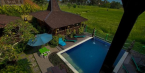 Green Paddy Villa & Hostel by Luxury Degree